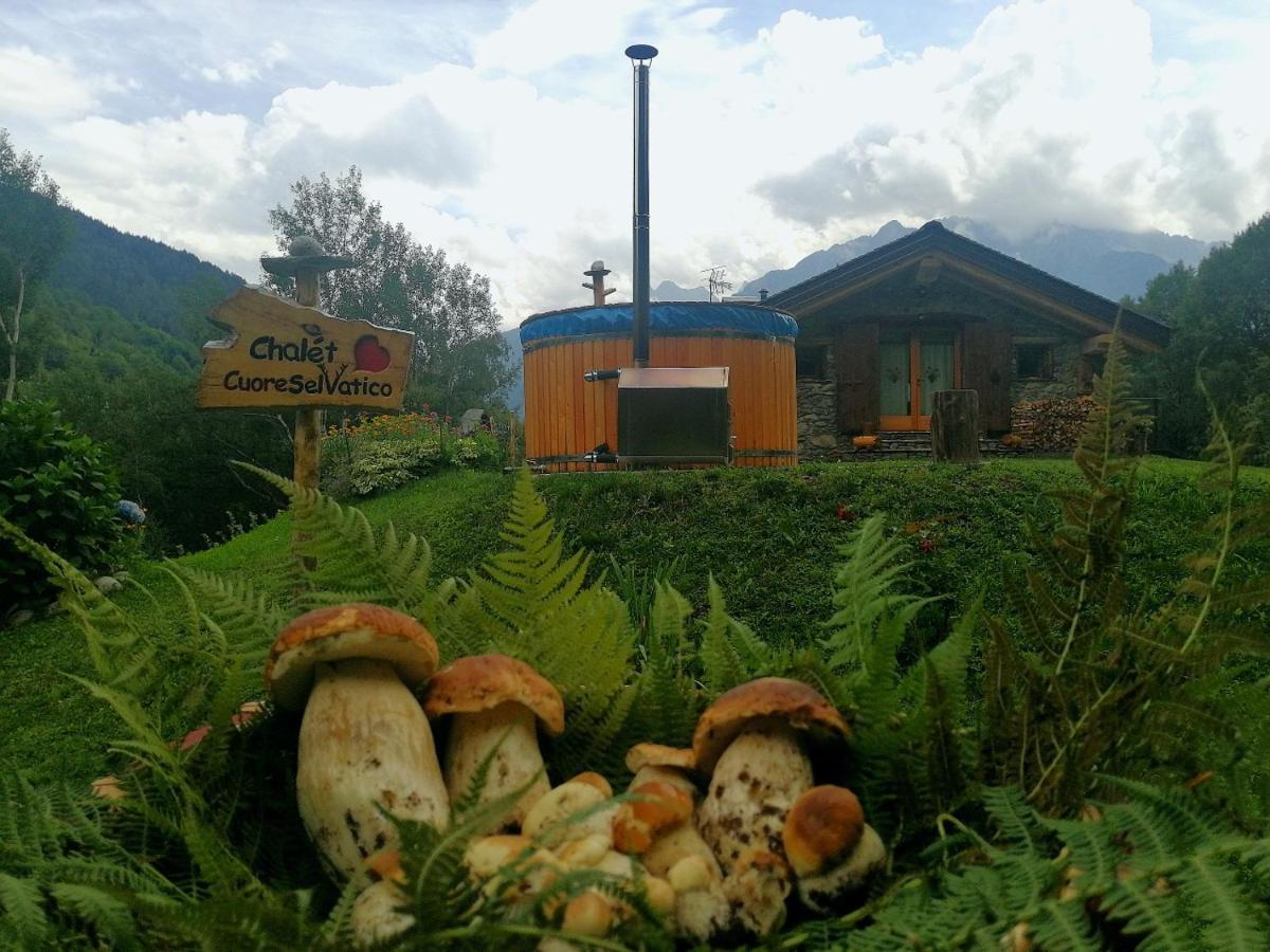 Chalet Cuore Selvatico Monno 외부 사진