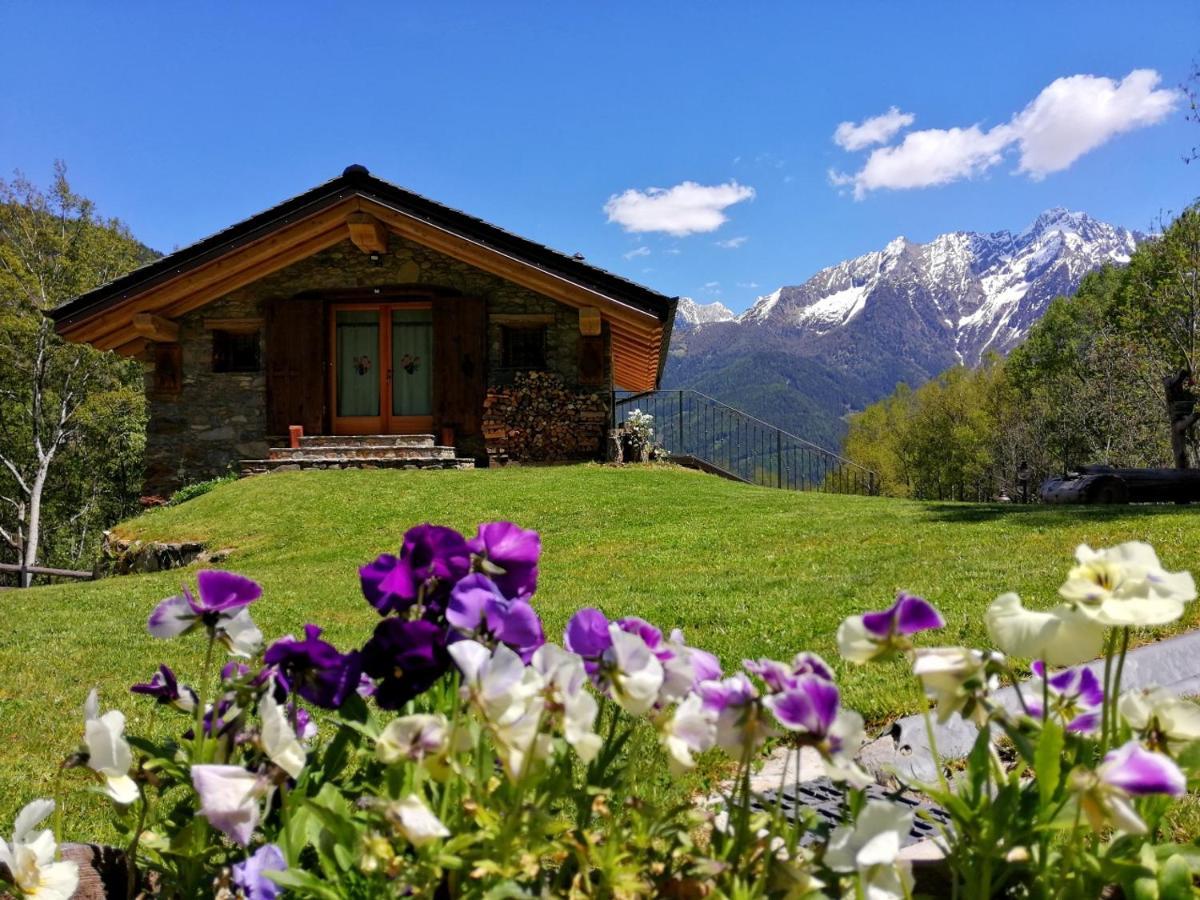 Chalet Cuore Selvatico Monno 외부 사진